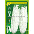 Chinese Hot Resistance Early Maturity Milk White Bitter Melon Seeds For Growing